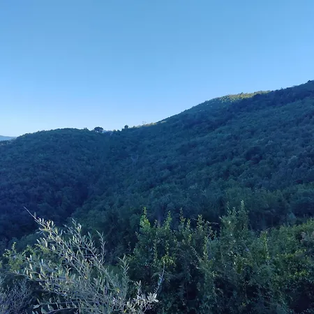 Villa Sea Level With Beautiful View, Medveja Lovran